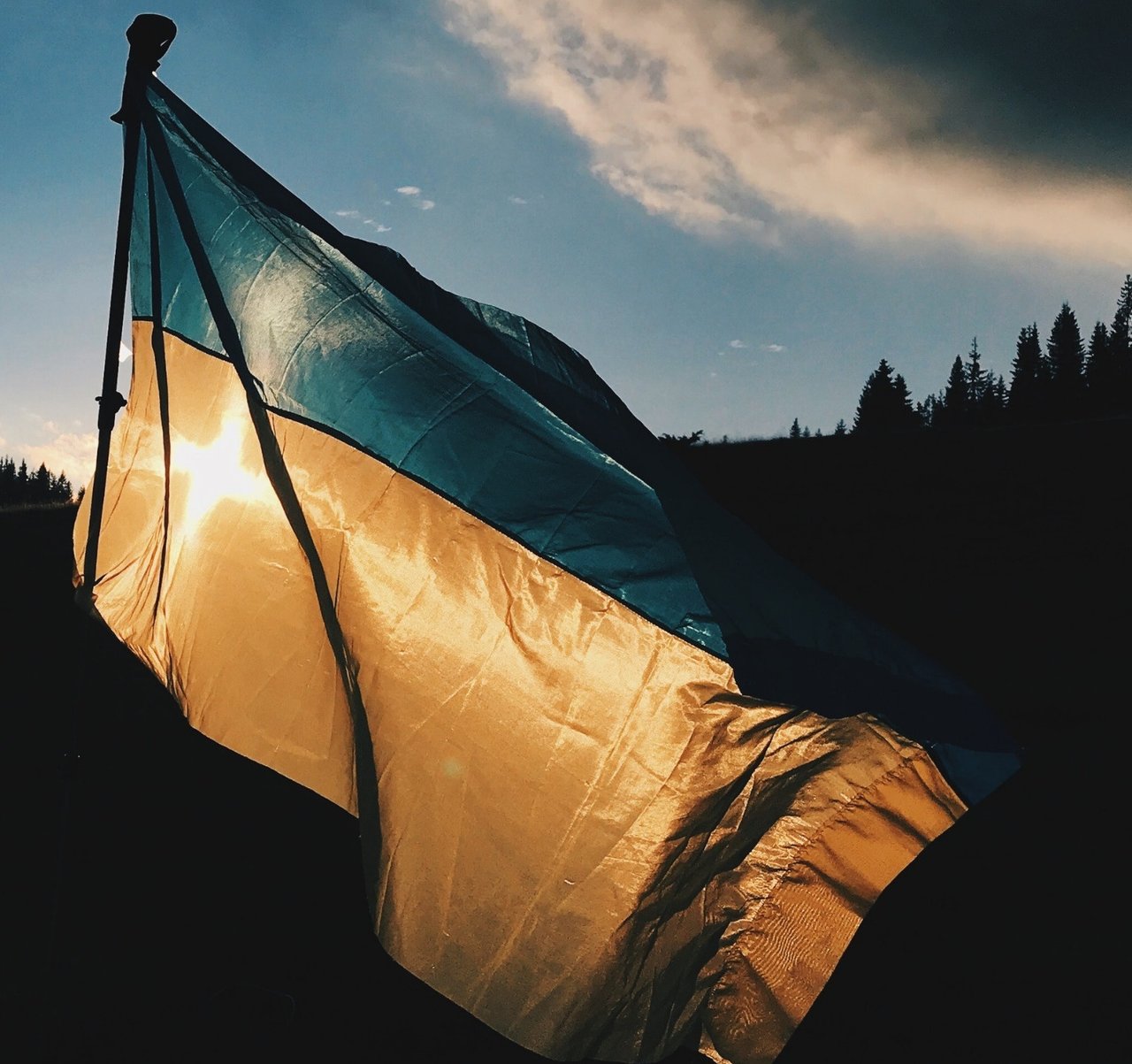 Vlag oekraine