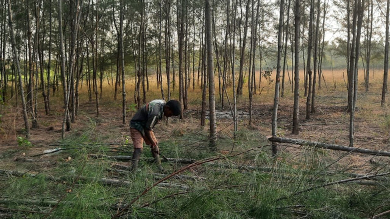 2022 03 RBLA Rescue At Work 3 jpg 202203 CHE RBLA Rescue in Kancheepuram Approved for Full Use