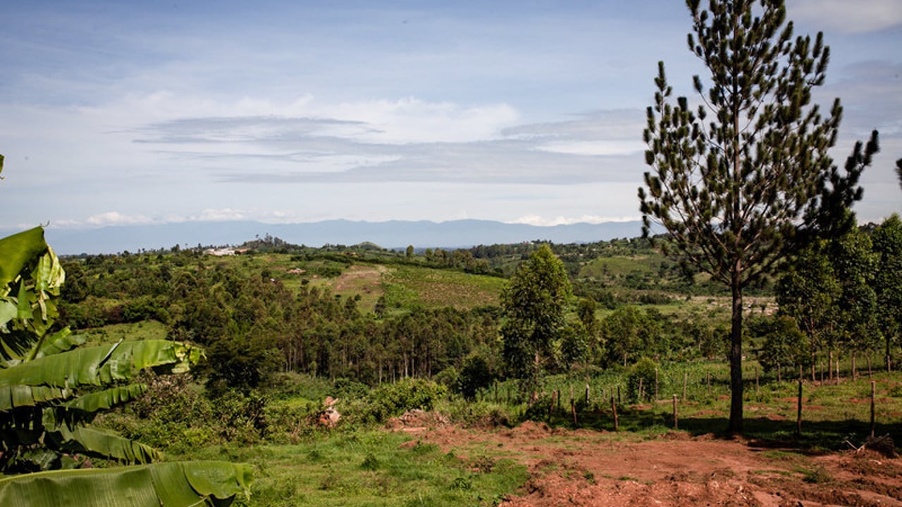 IMG 1763 jpg2020 08 UGA Fort Portal Landscapes 2018 05 UGA Fort Portal Landscapes Approved for Full Use