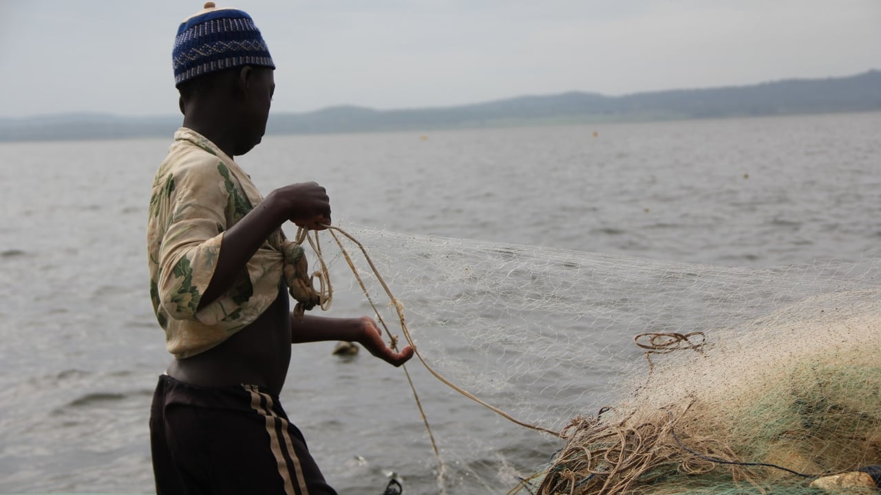 IMG 4036 JPG 201606 ACC June Trip to Lake Volta Approved for Full Use