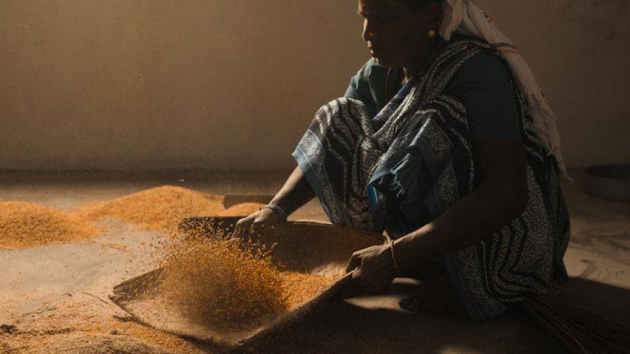 Rice india