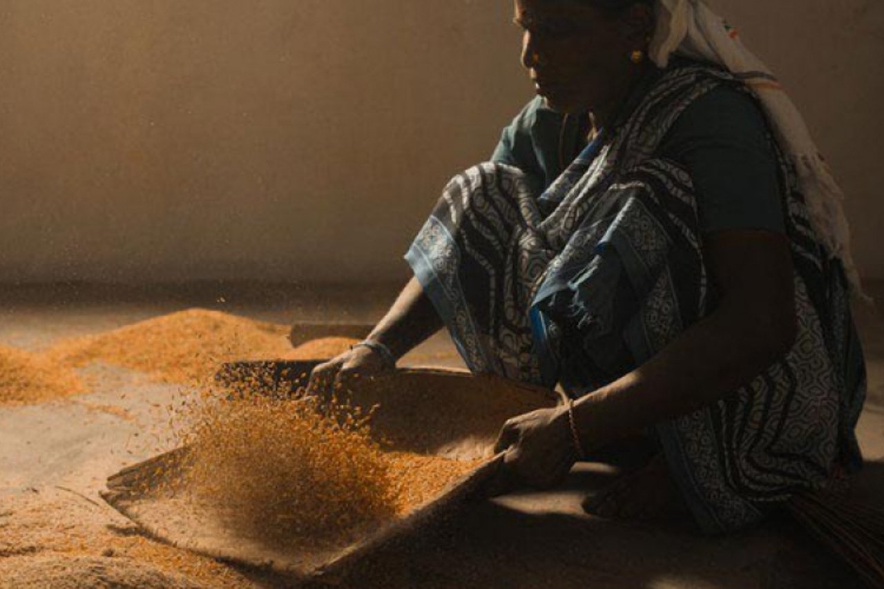 Rice india