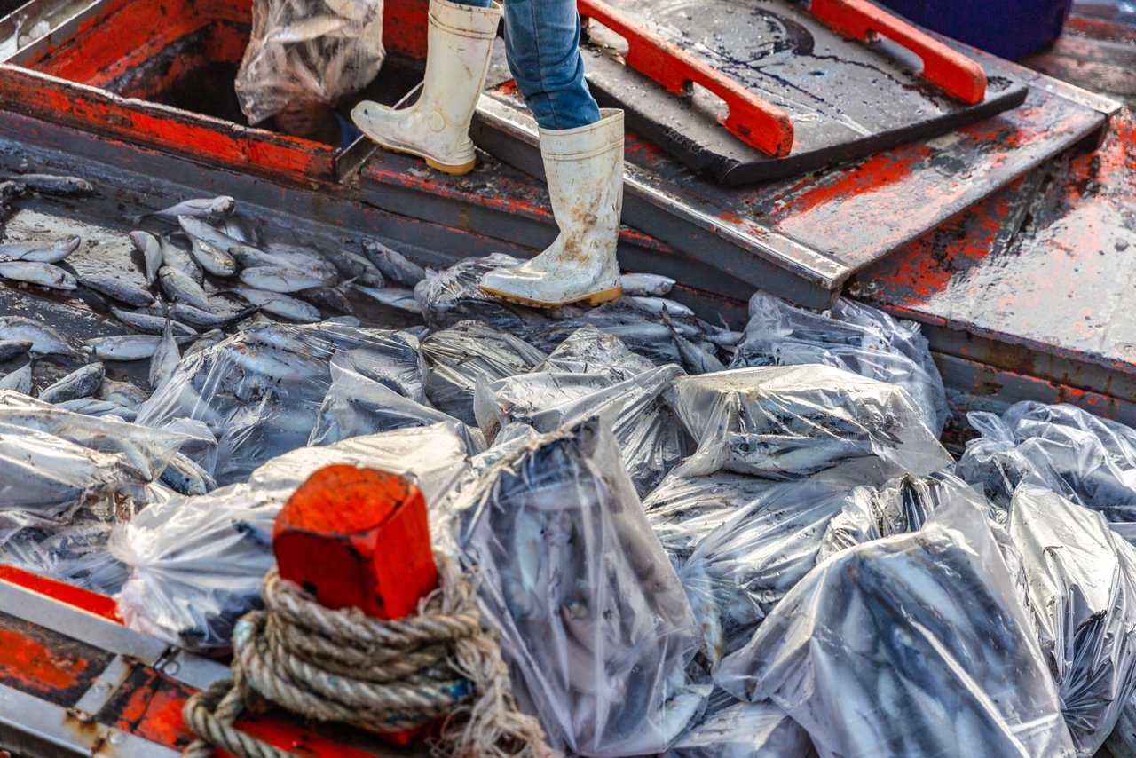 MG 9354 jpg 201811 BAN Stock Photos Thai Fishing Boats in Songkhla Approved for Full Use